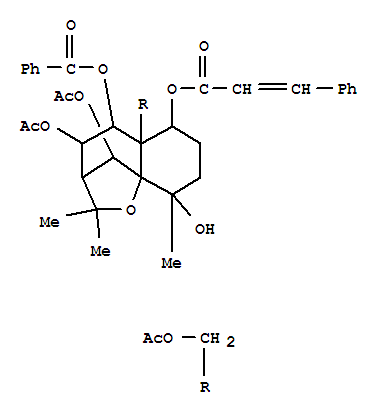 CAS 112018-96-9 molecular structure