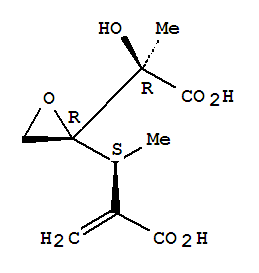 CAS 205488-96-6 molecular structure