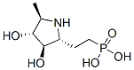 CAS 339186-29-7 structure
