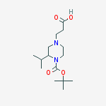 CAS 1060813-96-8 molecular structure