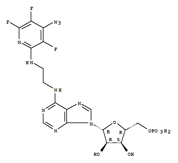 CAS 119304-29-9 molecular structure